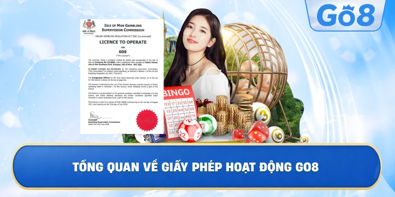 Tổng Quan Về Giấy Phép Hoạt Động GO8